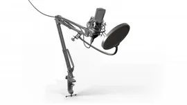 Микрофон Ritmix (Ритмикс) RDM-169 Black