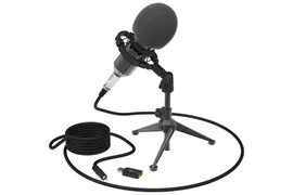 Микрофон Ritmix RDM-160