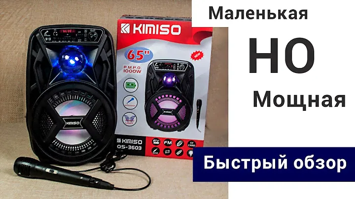 Портативная блютуз колонка с микрофоном. Маленькая и мощная. Bluetooth, USB, AUX, микро TF, FM радио